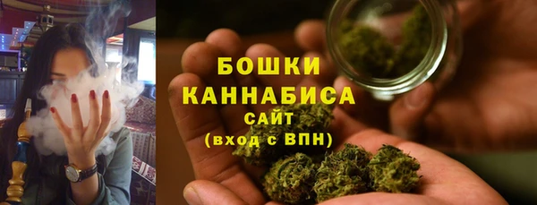 ПСИЛОЦИБИНОВЫЕ ГРИБЫ Медногорск