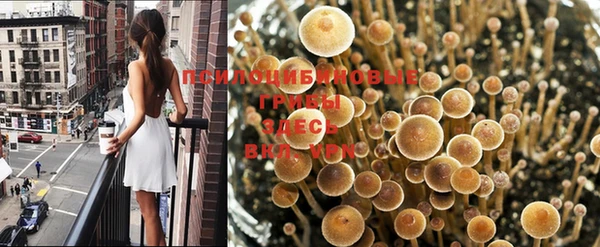 ПСИЛОЦИБИНОВЫЕ ГРИБЫ Медногорск