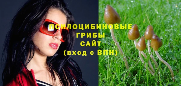 ПСИЛОЦИБИНОВЫЕ ГРИБЫ Медногорск